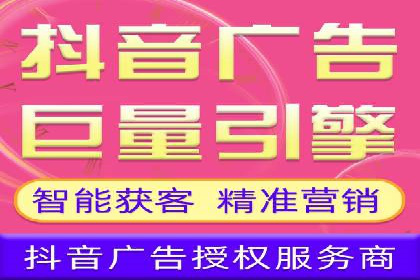 竞价广告在XX行业的成功应用案例